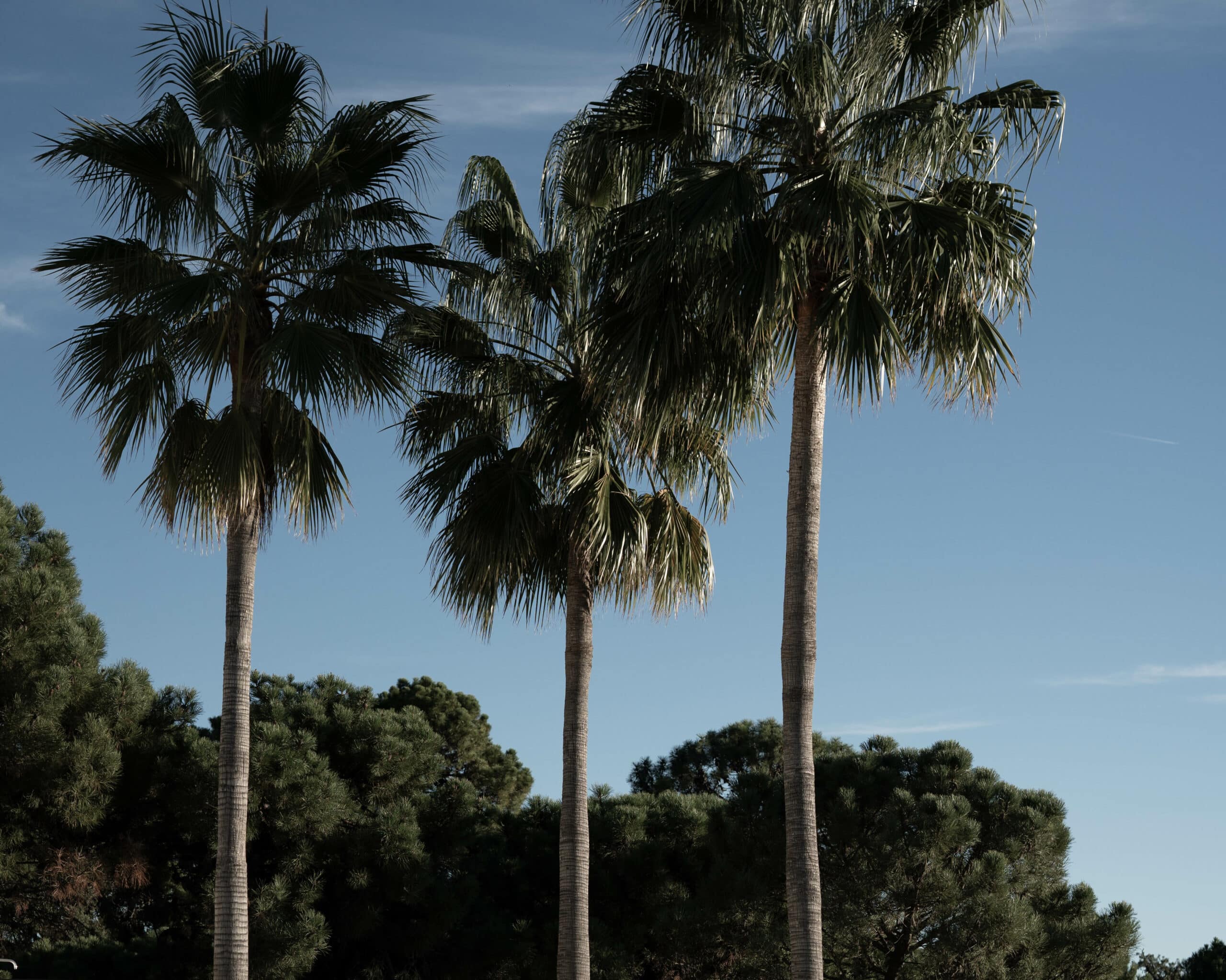 Ready to sell in Costa del Sol?