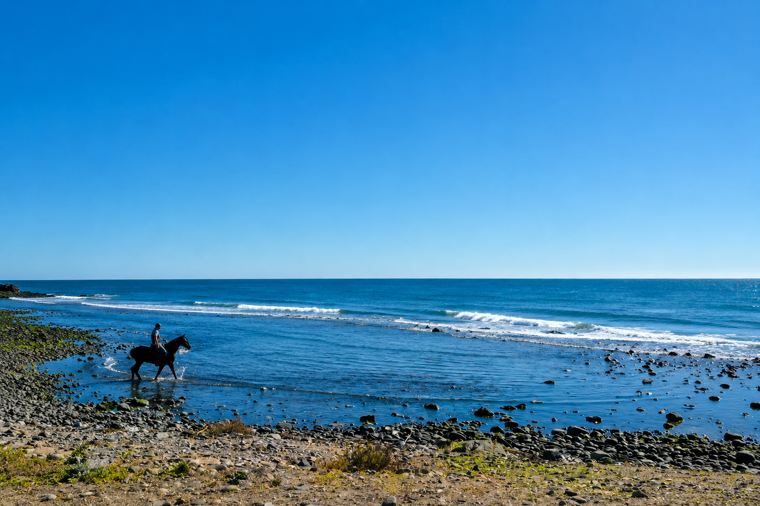 Equestrian Lifestyle